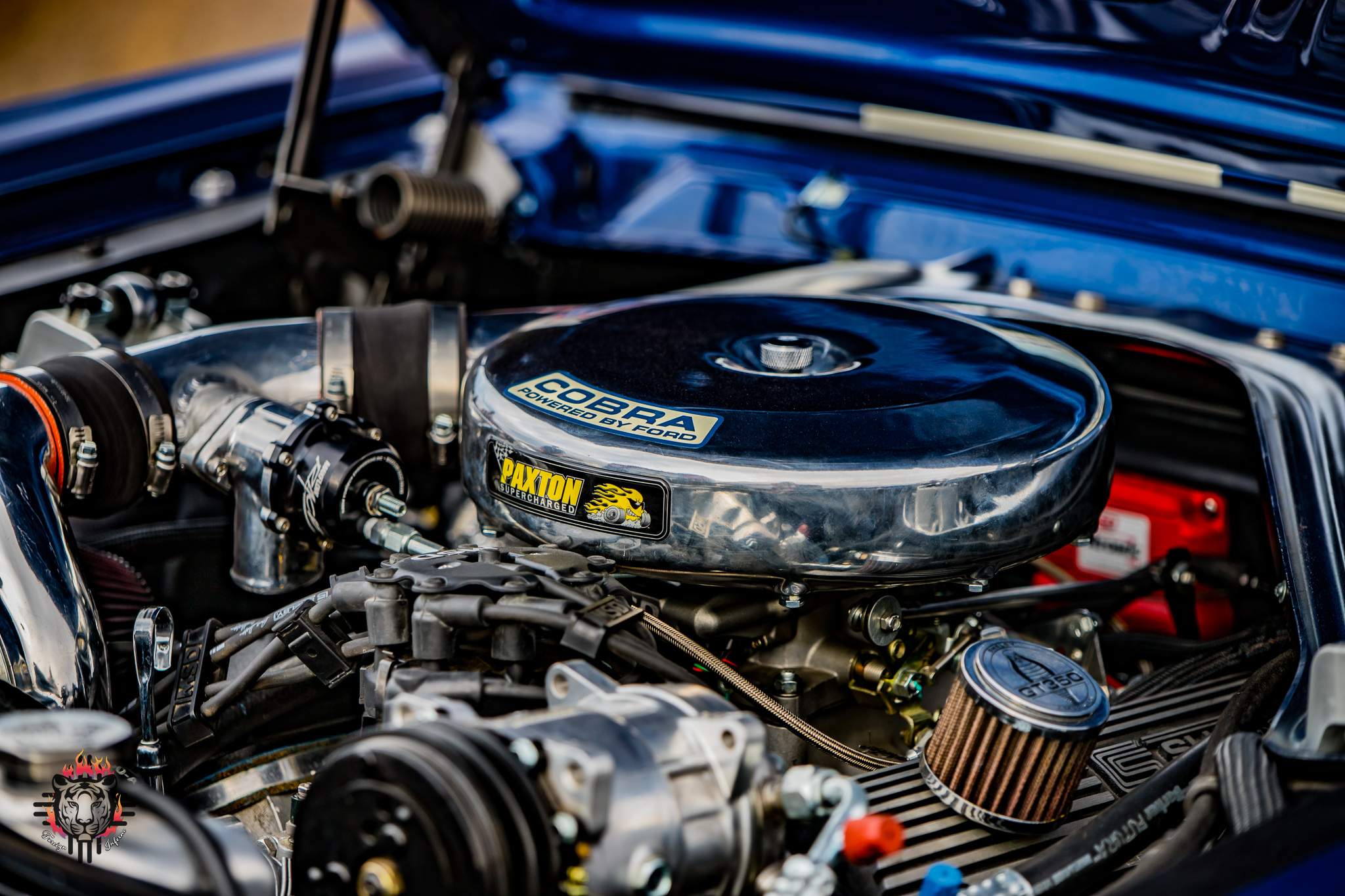 65GT350DP-9